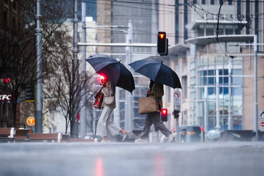 Two people walking in a line holding umbrellas