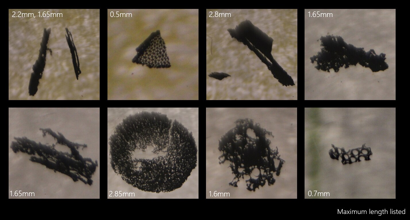 Magnified images of charcoal fragments of different shapes