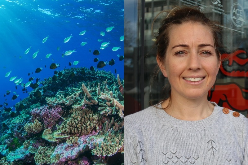 On the left, an underwater scene of fish swimming over coral. On the right, a portrait of a woman smiling at the camera.