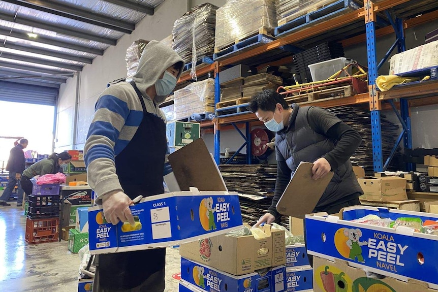 Workers carrying trays of fresh fruit and vegetables in a warehouse.