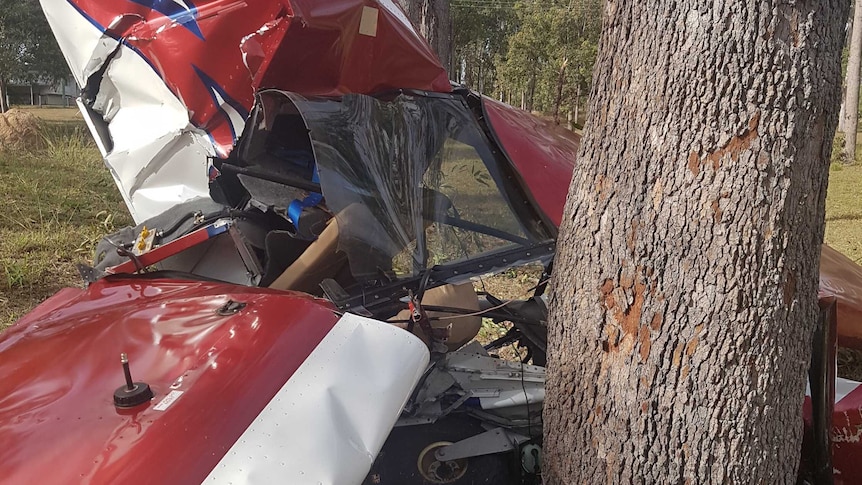 Crashed plane at base of a tree