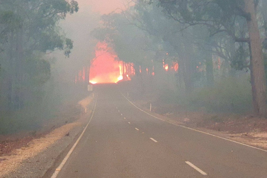 Fire crosses Great Alpine Road