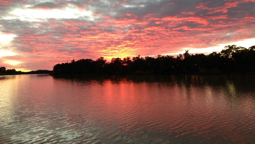 River Murray at sunrise