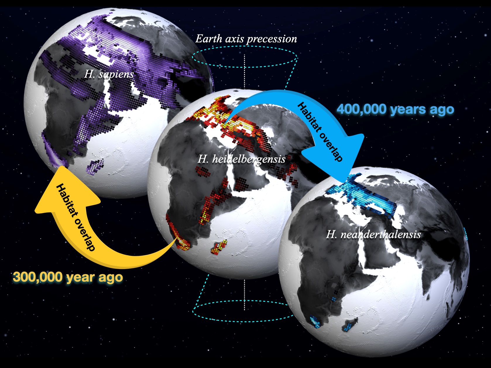 Three diagrams of the Earth showing where ancient humans once lived and where they overlapped