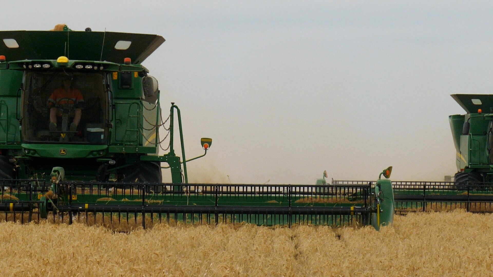Moree farmers brace for challenging harvest after worst flood in a