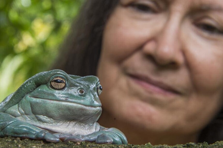 a woman stands behind a frog, looking at it