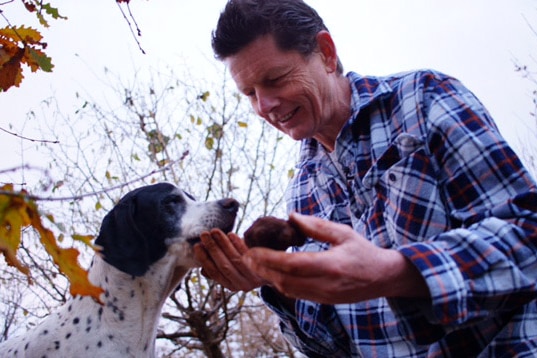 Chef David Coomer holds out a truffle to dog Olive