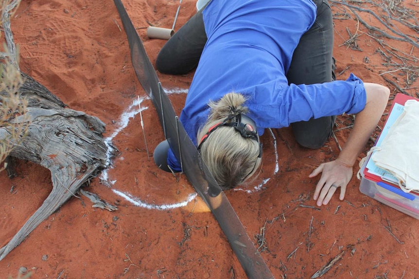 A woman puts her hand in a hole in red sand.