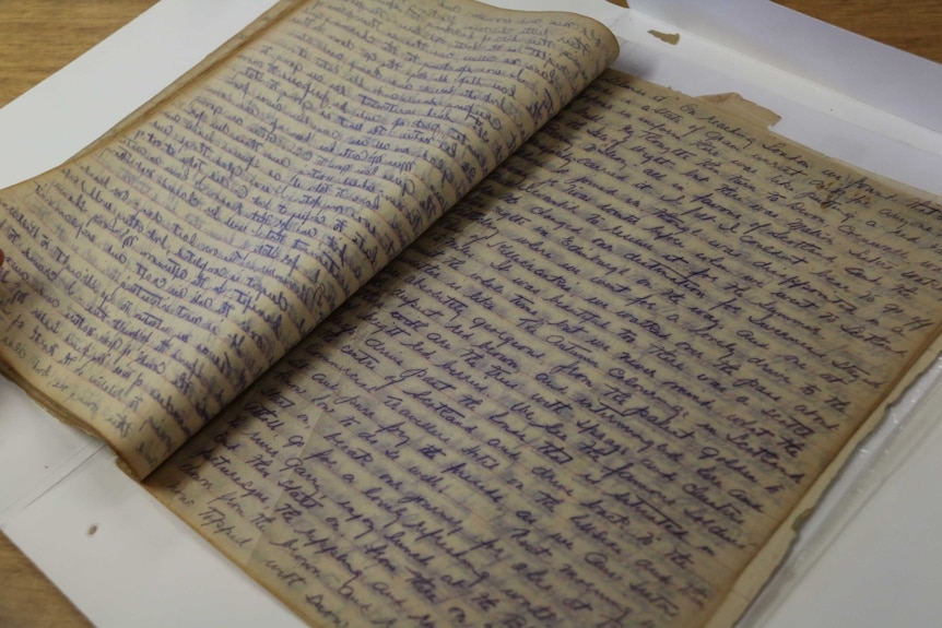 An open notebook showing a hand-written diary.