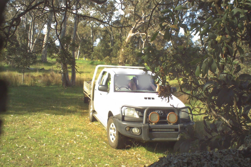 security camera shows men with blurred faces in white ute in nangeela state forest victoria 