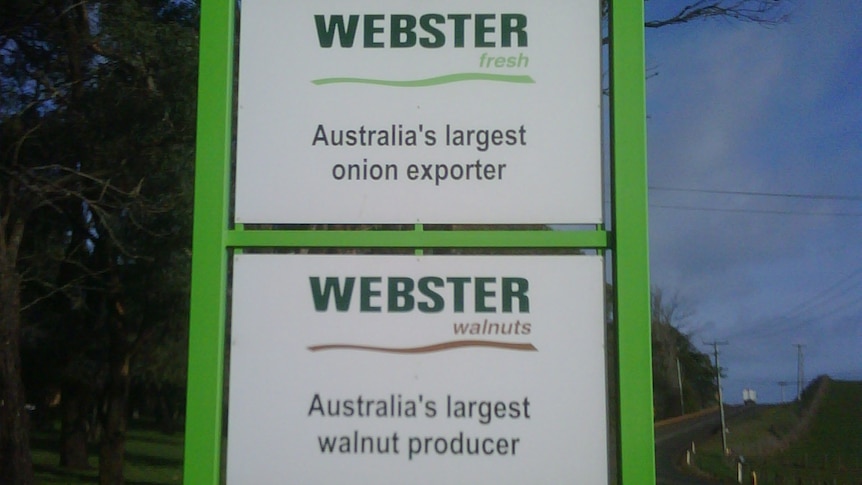 A green sign advertising agribusiness Webster Limited.