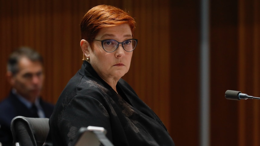 Marise Payne sits in front of a desk, a severe expression on her face.