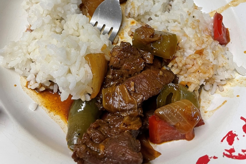 cooked meat on a plate with rice