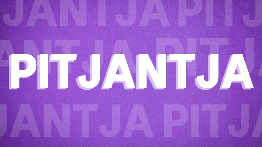The word 'pitjantja' is written in bold white text with a purple background. 