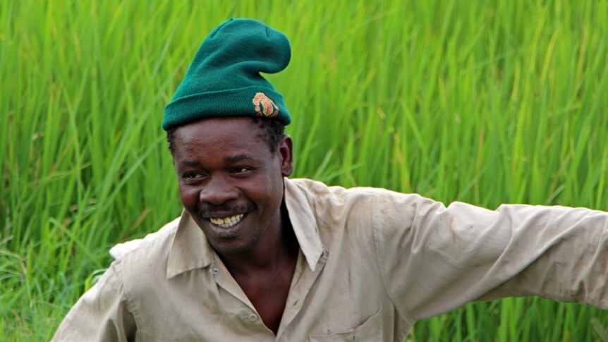 A worker applying fertiliser to a rice field in northern Tanzania.