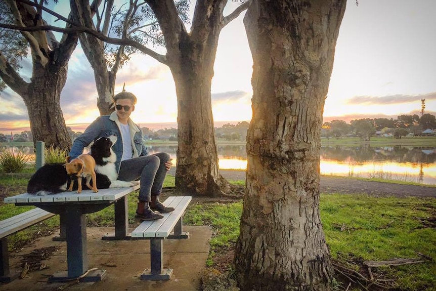 A young man sitting on a table in a park with two dogs as the sun goes down.