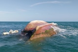 The hull of a capsized boat floating in the sea. 