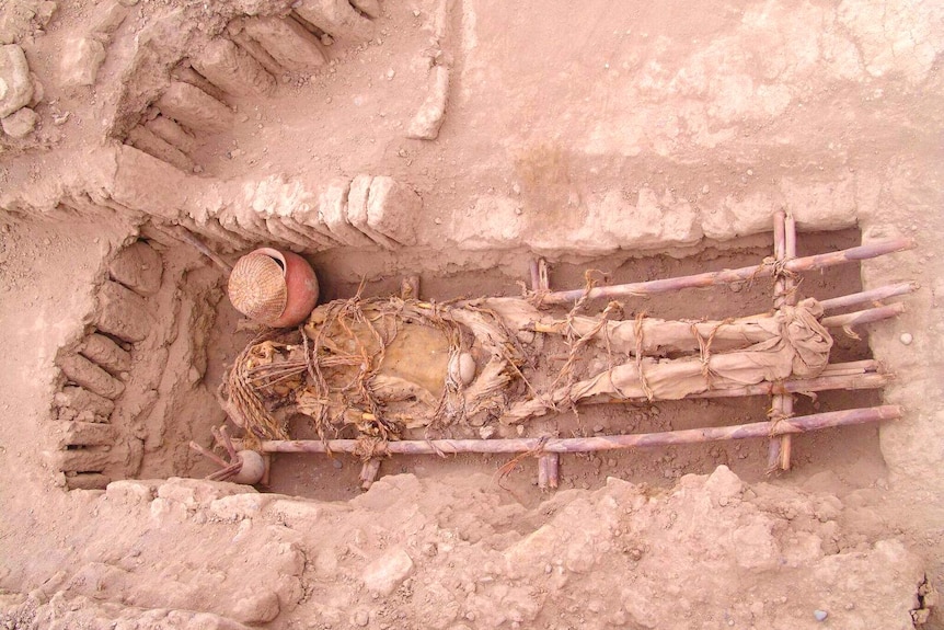Human remains in a burial site
