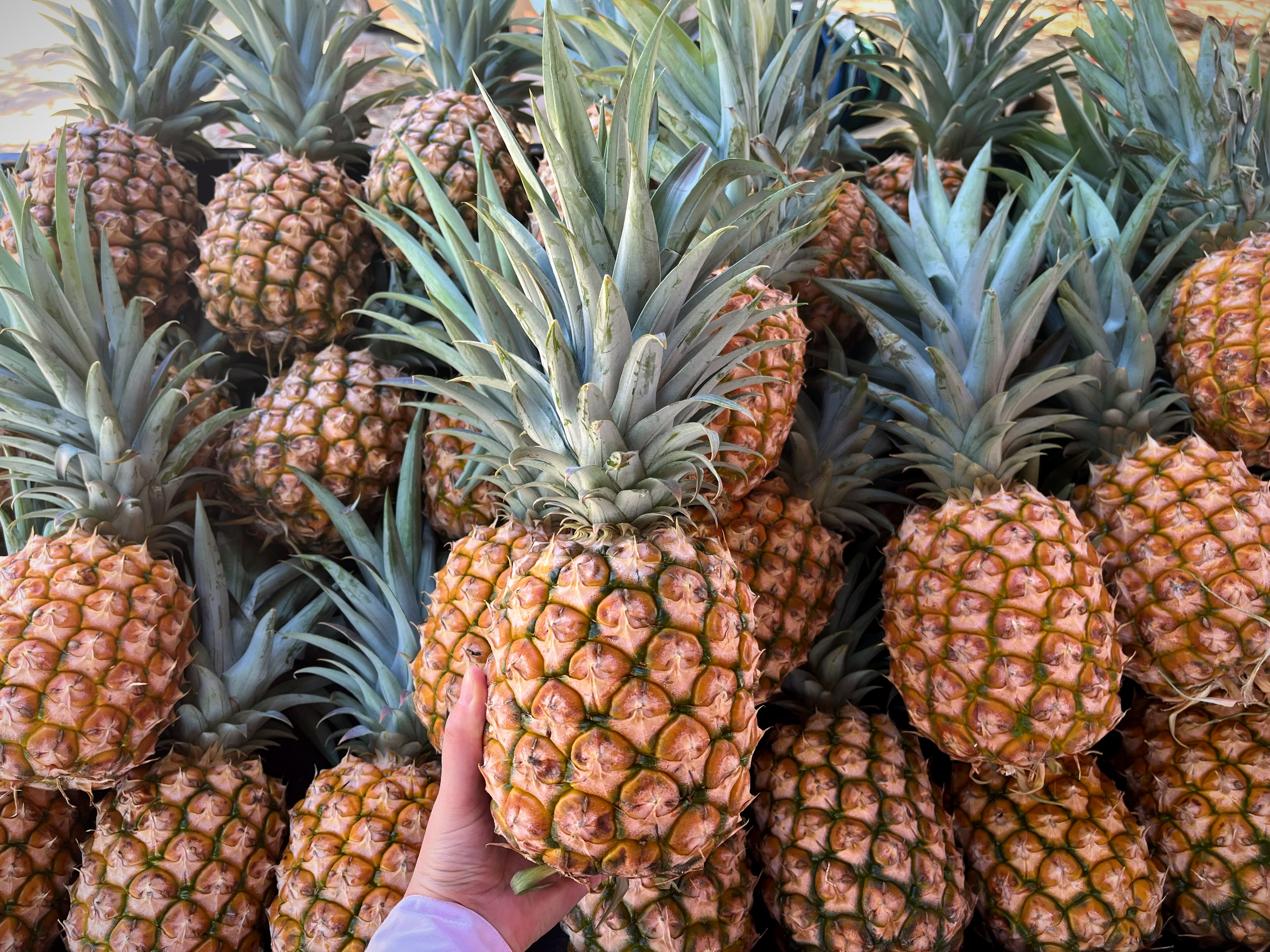 Pineapples stacked in a fruit display