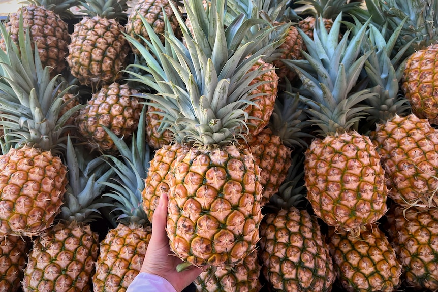 Pineapples stacked in a fruit display