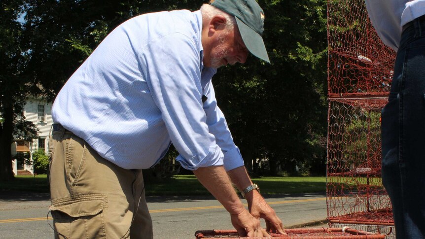 An older white man leans over a crab cage.