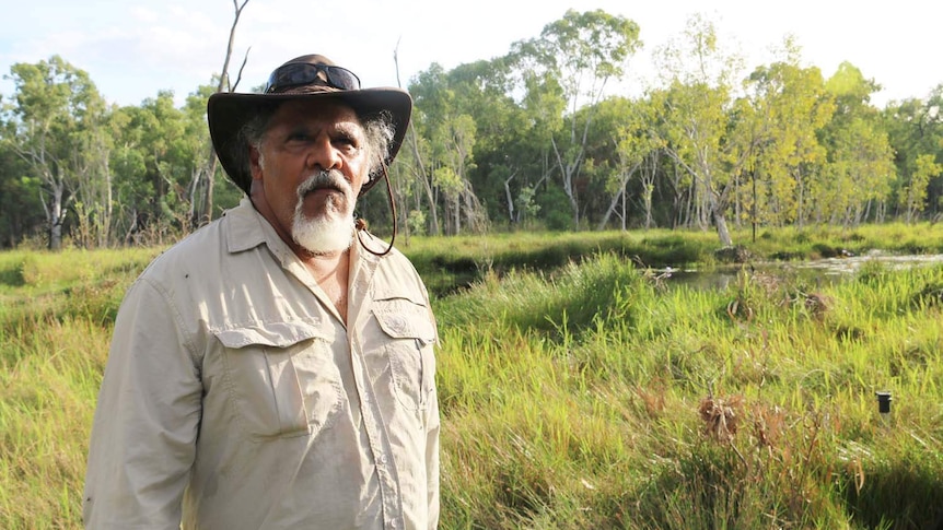 Traditional owner Adrian Burragubba stands at wetlands and trees near Adani's Carmichael coal mine site.