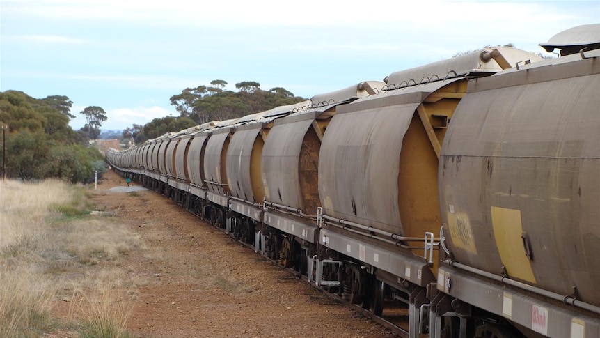 A level road crossing in WA's wheatbelt with seven CBH grain rolling stock carriages on a fine day