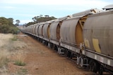 This train had 52 carriages to be filled with grain from the CBH bins at Quairading