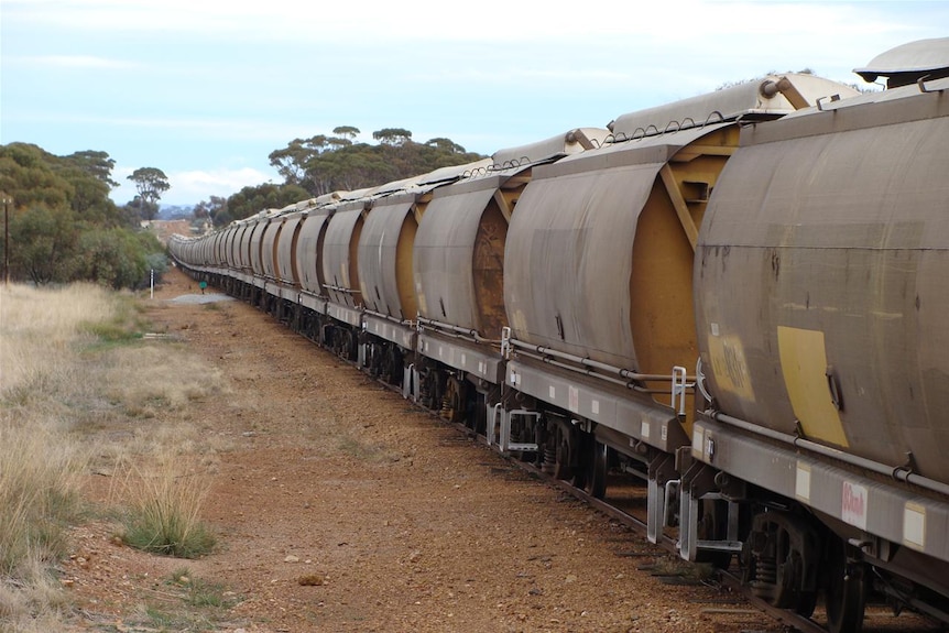 Train with carriages