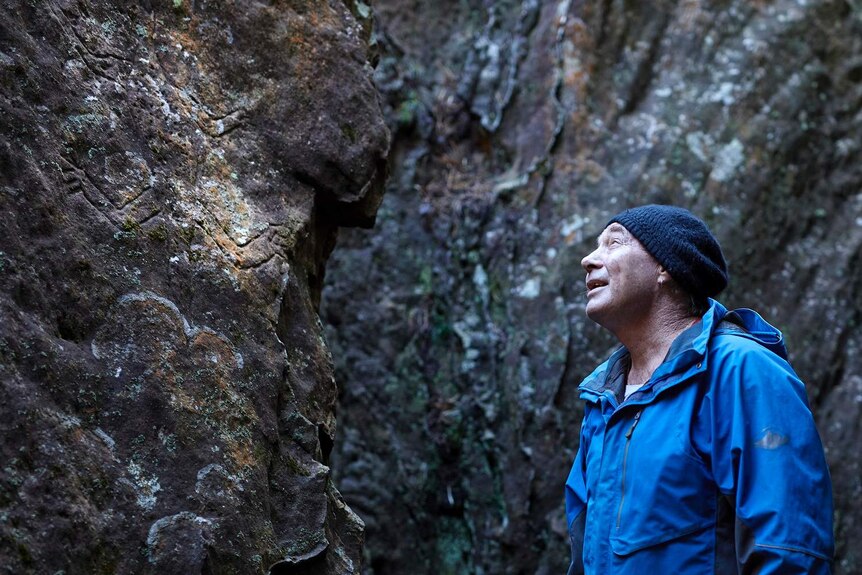 A man looks at rocks with Aboriginal carvings.