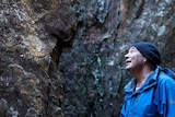 A man looks at rocks with Aboriginal carvings.