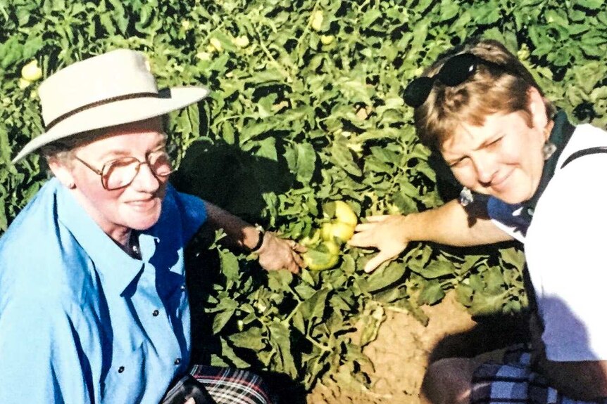 Streatham farmer and pioneer for women in agriculture Dorothy Dunn and Jill Briggs, inspect a crop on tour in the U.S.