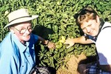 Streatham farmer and pioneer for women in agriculture Dorothy Dunn and Jill Briggs, inspect a crop on tour in the U.S.