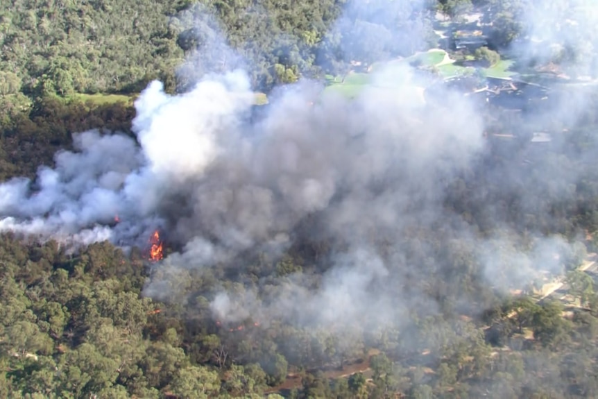 A column of smoke rising from a large section of bush. 