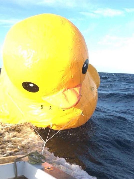 A giant inflatable duck is towed behind a boat in the ocean, slightly deflated.