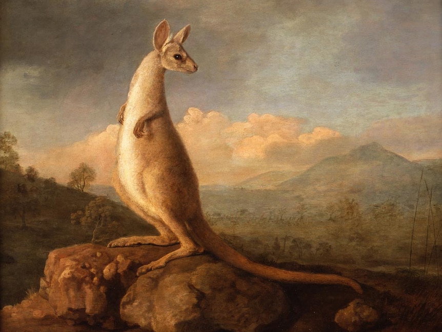The Kongouro from New Holland (The Kangaroo) by George Stubbs.