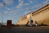 Cattle and grain are loaded onto a live export ship