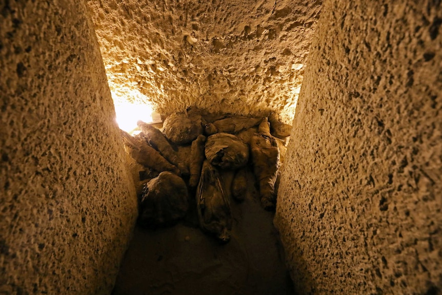 mummified birds found inside the Tomb of Tutu