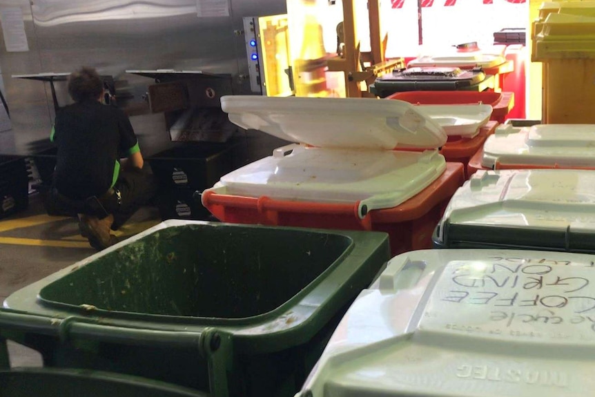 Lines of bins near a large steel dehydrator.