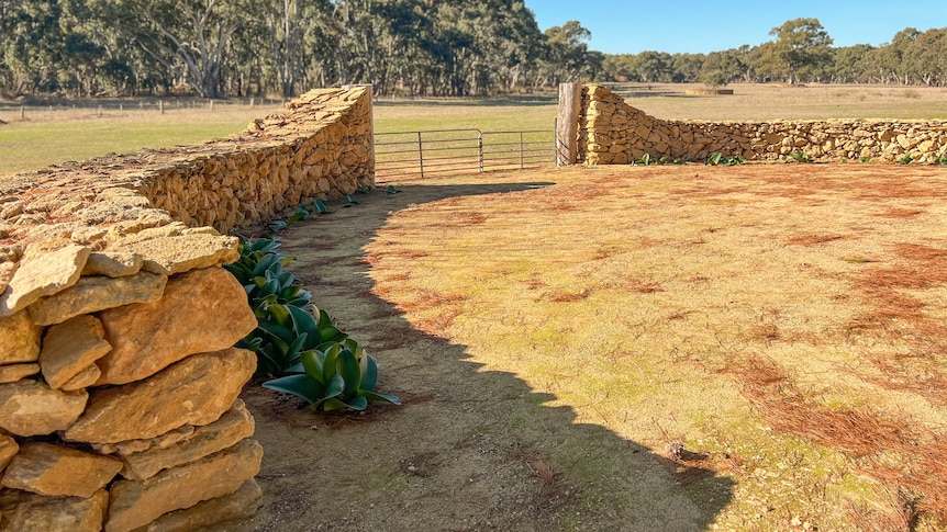 sandstone drystone walling on a South Australian farm