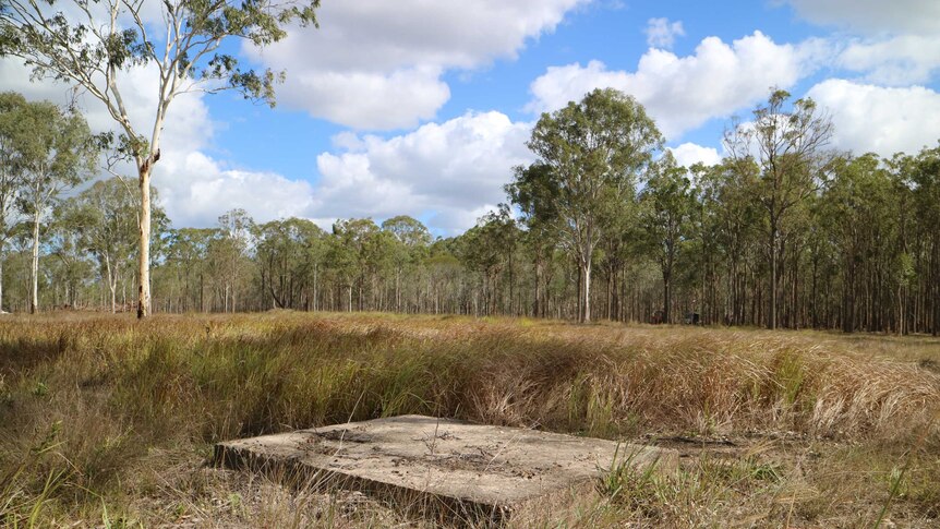 a slab on concrete in the middle of bushland