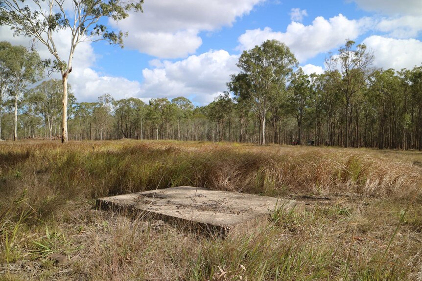 a slab on concrete in the middle of bushland