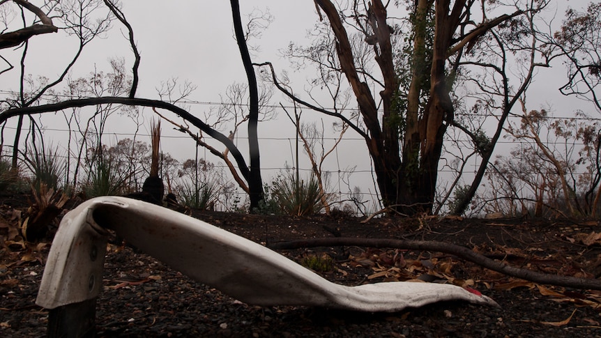 Remnants of the fire at Humbug Scrub.