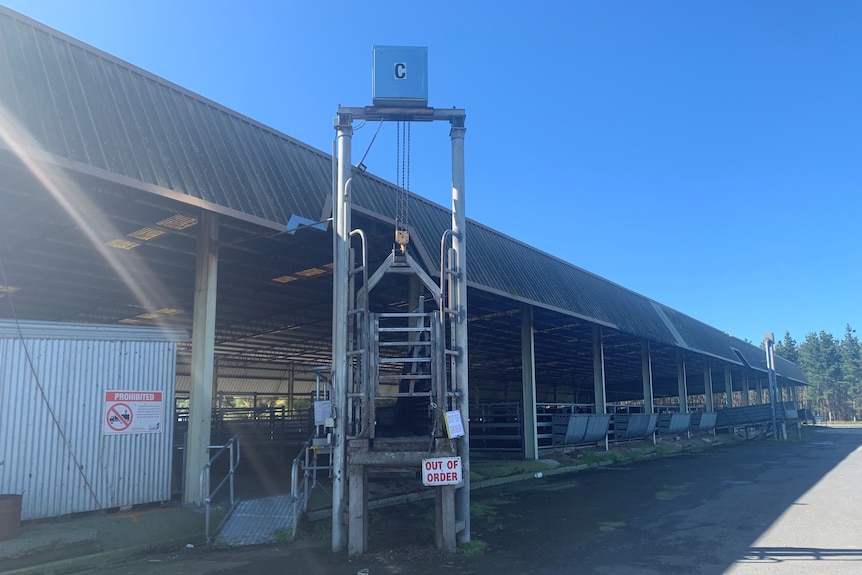 Mount Gambier saleyards ramp C with out of order sign