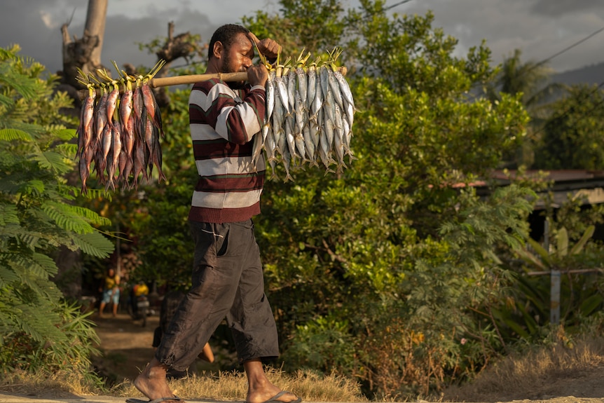 A man carrying fish tied to a pole.