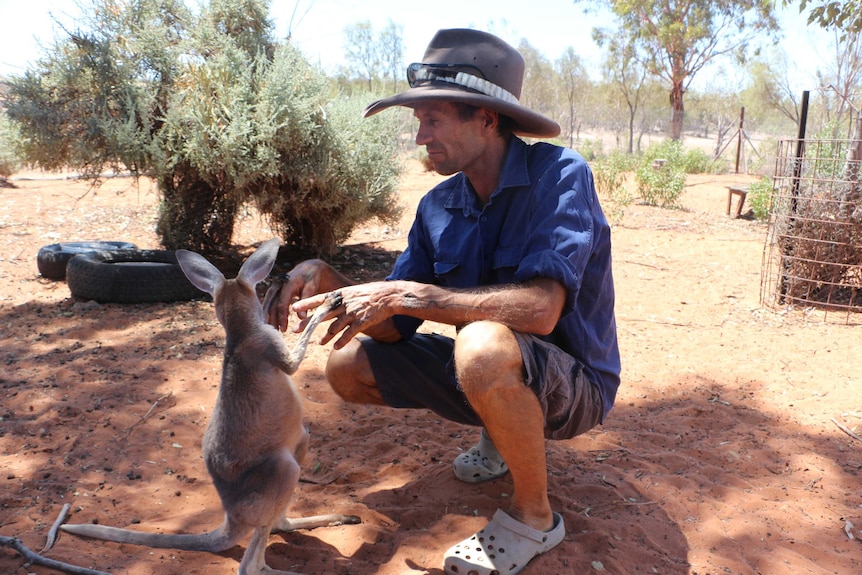 Gill Wheadon with a baby kangaroo at Menindee.