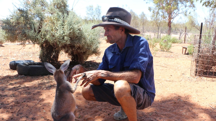 Gill Wheadon with a baby kangaroo at Menindee.