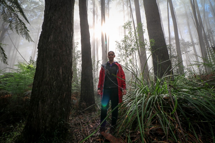 Eerie photo of a women in the forest. Sun scatters behind her.