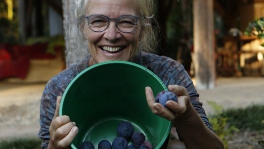 A woman with a bucket of plums