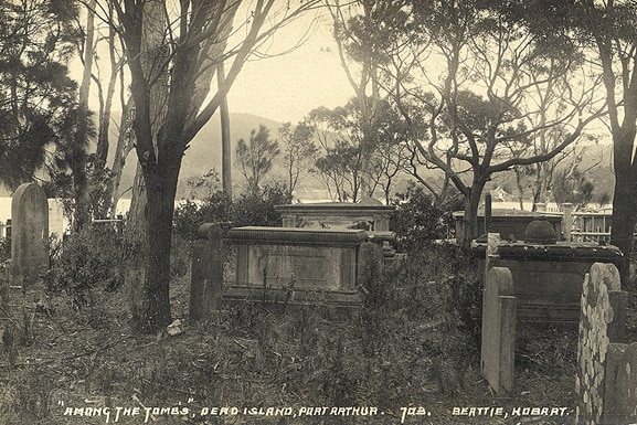 Black and white photo of grave stones surrounded by bush